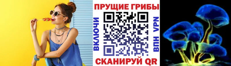 Псилоцибиновые грибы GOLDEN TEACHER  цена   darknet наркотические препараты  Усть-Кут 